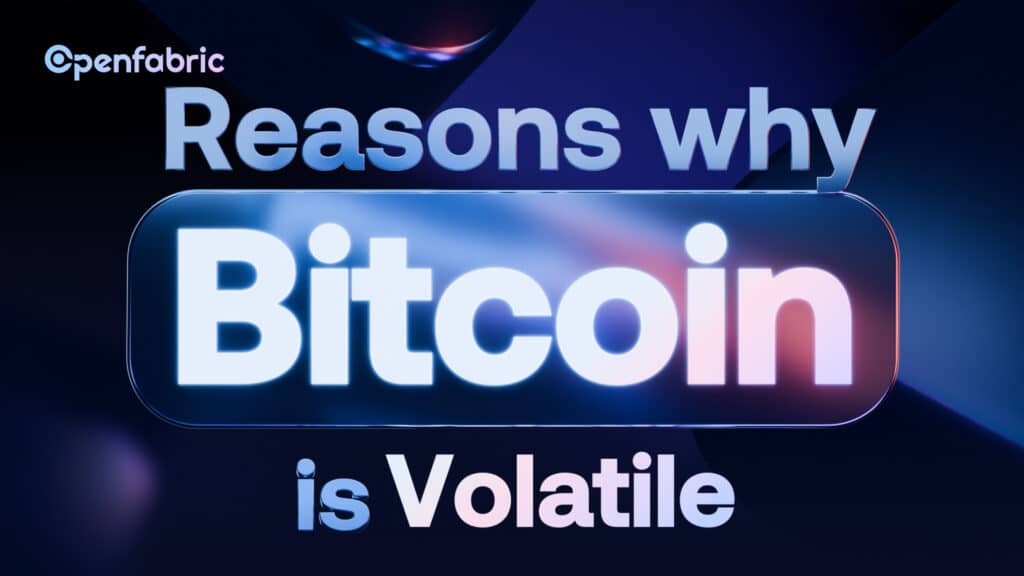 Reasons Why Bitcoin is Volatile