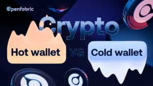 Crypto Hot Wallet Vs Cold Wallet: Understanding the Difference